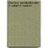 Directeur-aandeelhouder in zaken in Rusland