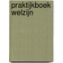 Praktijkboek Welzijn