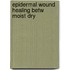 Epidermal wound healing betw moist dry