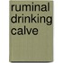 Ruminal drinking calve
