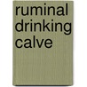 Ruminal drinking calve by Weeren Keverling Buisman