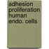 Adhesion proliferation human endo. cells