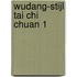 Wudang-stijl tai chi chuan 1
