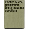Kinetics of coal gasification under industrial conditions by M. Weeda