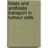 Folate and antifolate transport in tumour cells