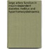 Large artery function in insulin-dependent diabetes mellitus and hyperhomocysteinaemia