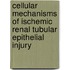 Cellular mechanisms of ischemic renal tubular epithelial injury