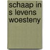 Schaap in s levens woesteny