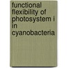 Functional flexibility of Photosystem I in cyanobacteria door N. Yeremenko