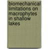 Biomechanical limitations on macrophytes in shallow lakes door J. Schutten
