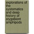 Explorations of the systematics and deep history of stygobiont amphipods