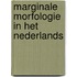 Marginale morfologie in het Nederlands
