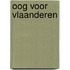 Oog voor Vlaanderen