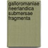 Galloromaniae Neerlandica Submersae fragmenta