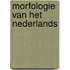 Morfologie van het Nederlands