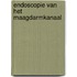 Endoscopie van het maagdarmkanaal
