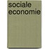 Sociale economie