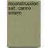 Reconstruccion salt. canno entero