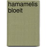 Hamamelis bloeit by Houtman Ennik