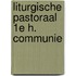 Liturgische pastoraal 1e h. communie