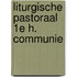Liturgische pastoraal 1e h. communie