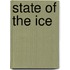 State of the ice