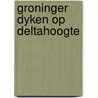 Groninger dyken op deltahoogte door Louwrens Hacquebord