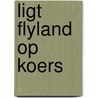 Ligt Flyland op koers door Onbekend