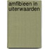 Amfibieen in uiterwaarden