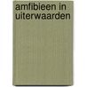Amfibieen in uiterwaarden by W. Bosman