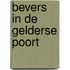 Bevers in de Gelderse Poort