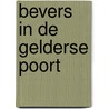 Bevers in de Gelderse Poort by Helmer