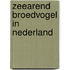 Zeearend broedvogel in Nederland