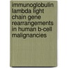 Immunoglobulin Lambda light chain gene rearrangements in human B-cell malignancies door T. Tümkaya
