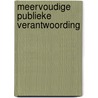 Meervoudige publieke verantwoording by F.J. de Vijlder