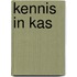 Kennis in kas