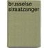 Brusselse straatzanger