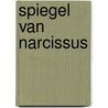 Spiegel van narcissus by Annunzio