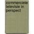Commerciele televisie in perspect