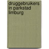 Druggebruikers in Parkstad Limburg door R.A. Knibbe