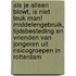 Als je alleen blowt, is niet leuk man! Middelengebruik, tijdsbesteding en vrienden van jongeren uit risicogroepen in Rotterdam