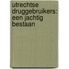 Utrechtse druggebruikers: een jachtig bestaan by J. Wildschut