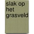 Slak op het grasveld