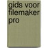 Gids voor FileMaker Pro