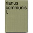 Rianus communis L.