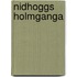 Nidhoggs Holmganga