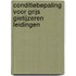Conditiebepaling voor grijs gietijzeren leidingen