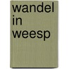 Wandel in Weesp door R.A. Storm