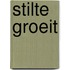 Stilte groeit