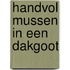 Handvol mussen in een dakgoot